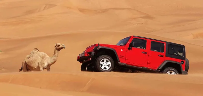 Jeep Wrangler Safari Dubai
